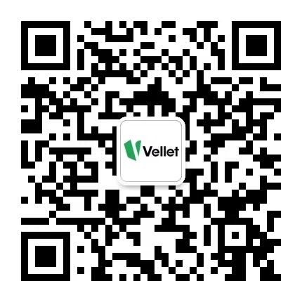 Vellet 微信公众号二维码